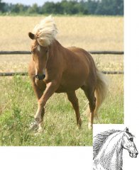 erfolg